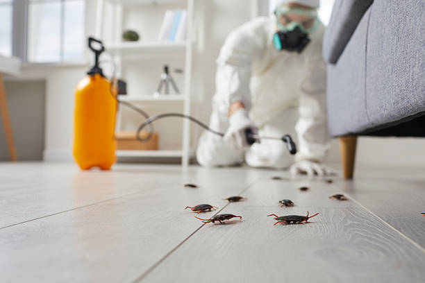 Trusted Cockroach Control service in Reisterstown, MD - Nex Pest Control